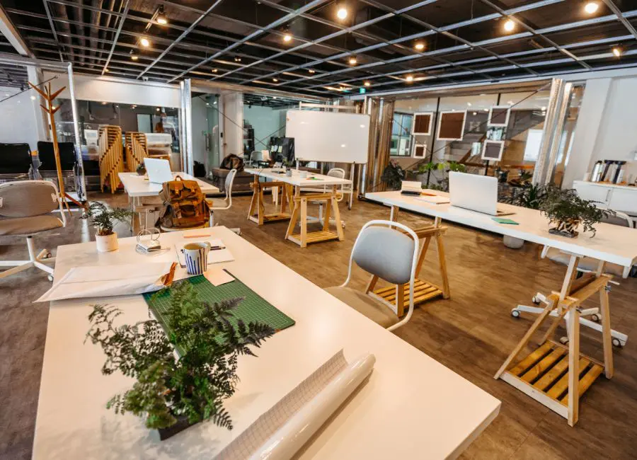 open office with plants and wood accents